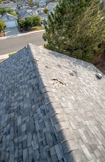 Roof Repair X