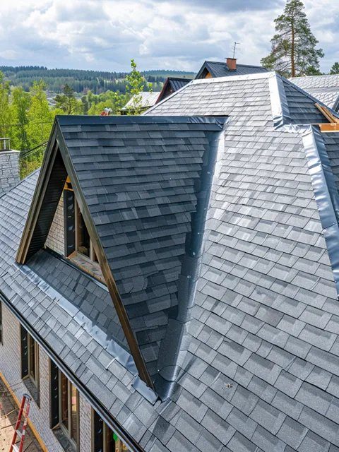 Shingle Roofing X